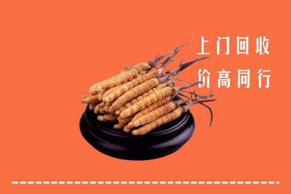 高价求购：八步区回收散虫草