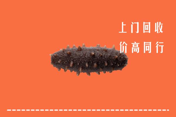 高价求购：八步区回收海参
