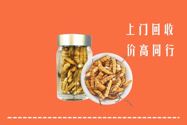 八步区回收冬虫夏草